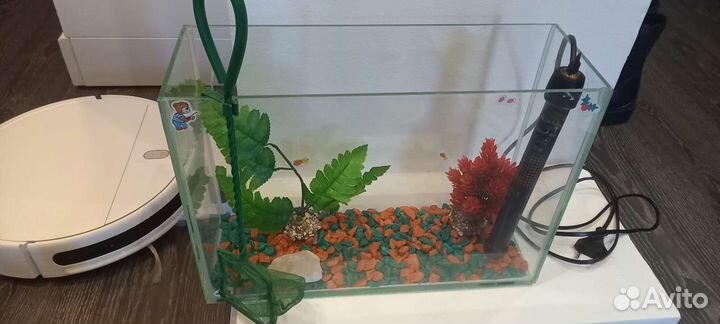Аквариум