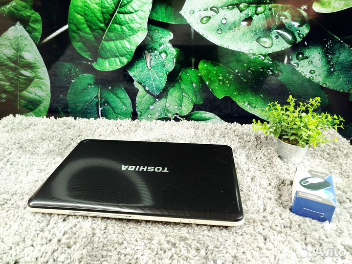 Ноутбук Toshiba i7/1000gb/8gb/HD7670/15.6