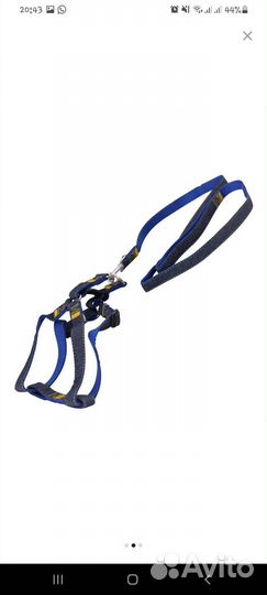 Шлейка с поводком