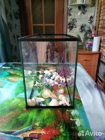 Аквариум