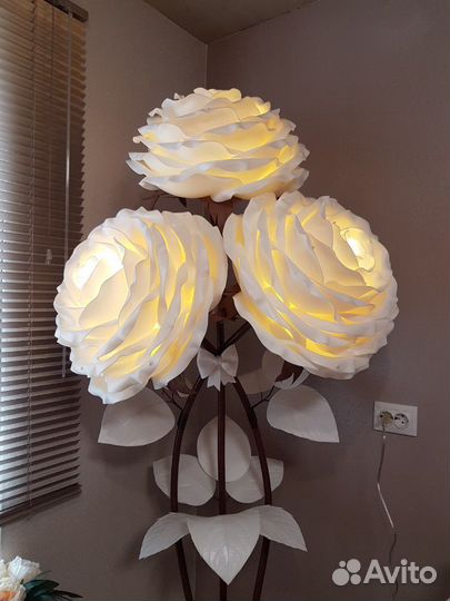 Цветы гиганты Ростовые цветы Изолон