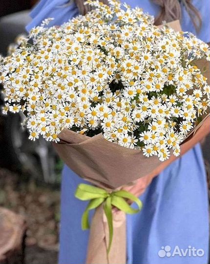 Ромашки букет