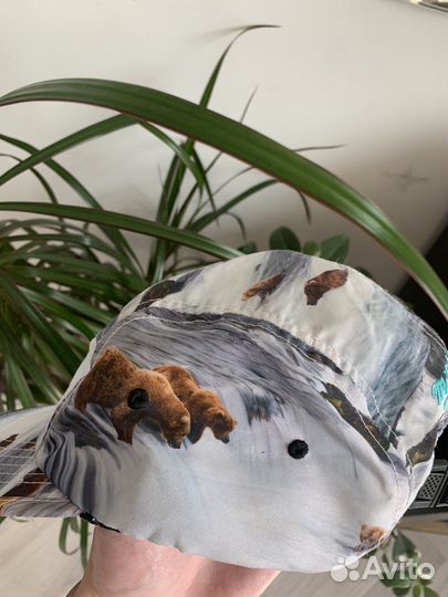 Бейсболка mitchell ness