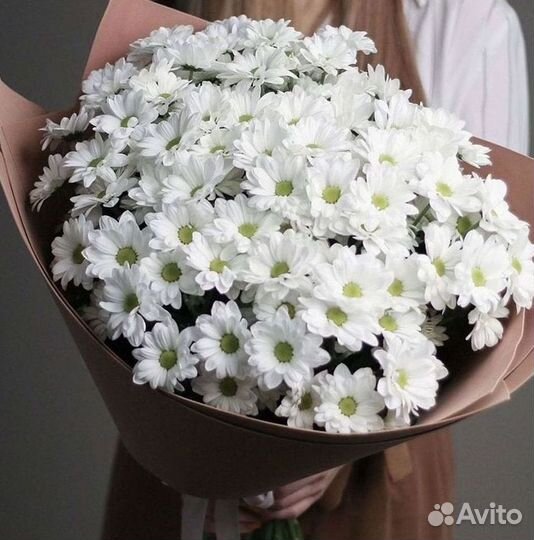 Хризантема Доставка цветов