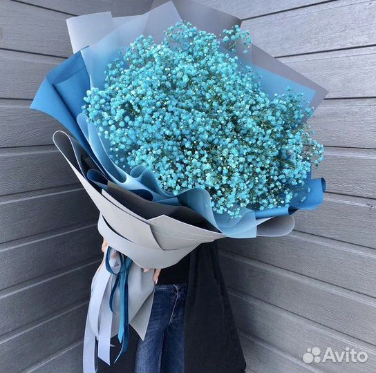 Яркая гипсофила