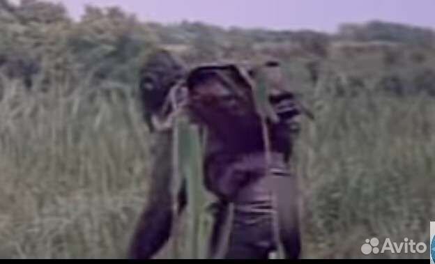 Ранец диверсанта