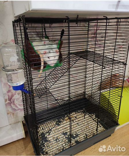 Клетка и корм для крыс