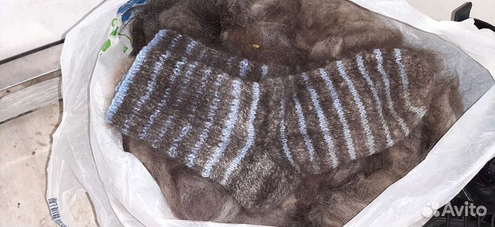 Пух / Шерсть вычесанный собачий