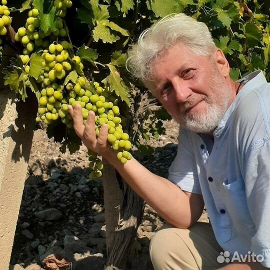 Услуги курьера, экспедитора на авто