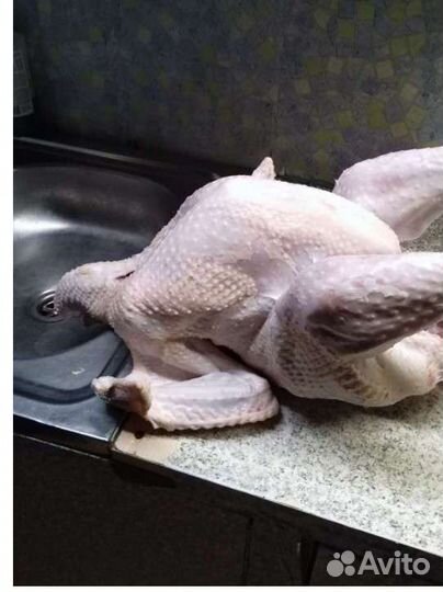 Мясо бройлера