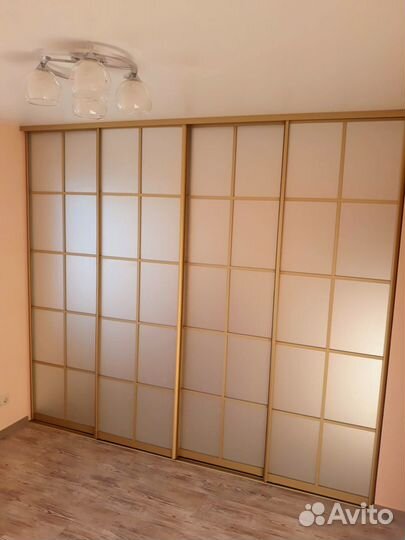 Двери купе с матовым зеркалом и делителями