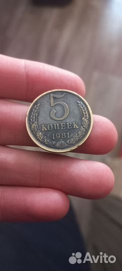 5 копеек 1981г