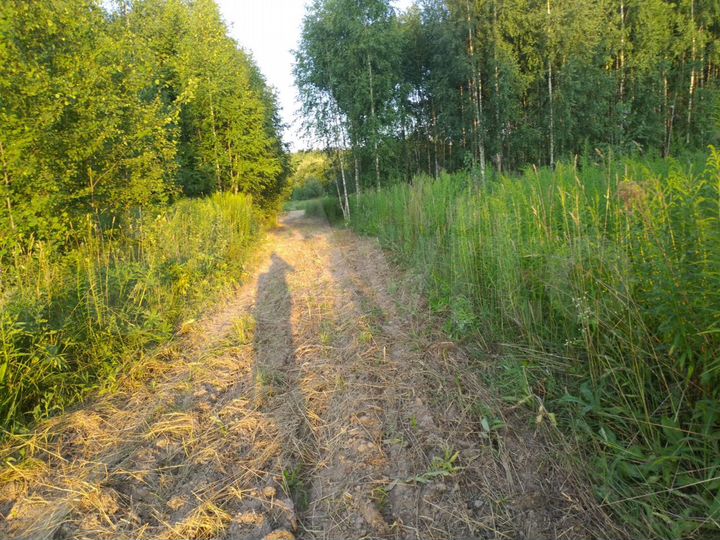 Участок 19,4 сот. (СНТ, ДНП)