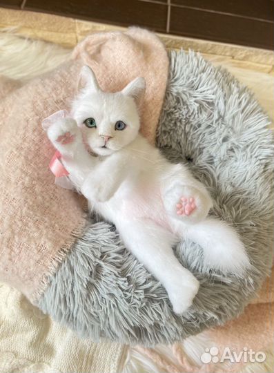 Котенок Алиса.Реалистичная подвижная игрушка