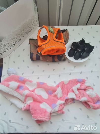 Одежда для собак мелких пород