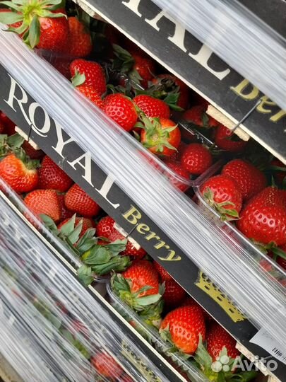 Клубника свежая очень сладкая