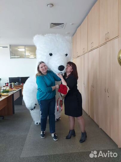 Белый Мишка поздравление