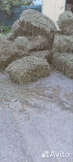 Сено в брикетах