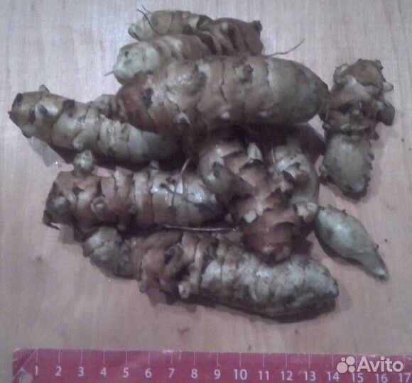 Корень хрена