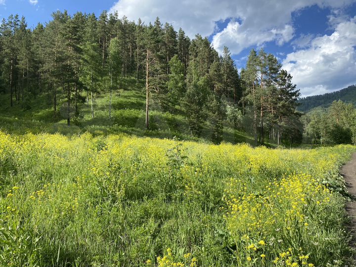 Участок 8,99 га (СНТ, ДНП)