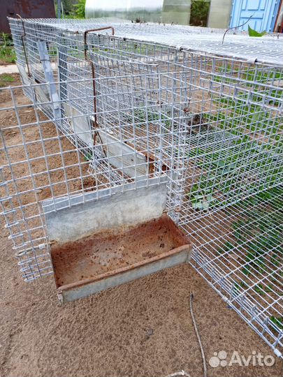 Клетка для кролов, кур
