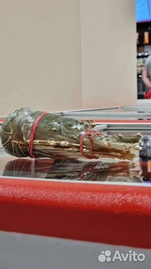 Лангуст Королевский (свежемороженный)