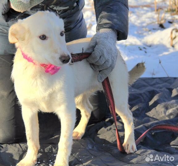 Сказочной принцессе очень нужен дом