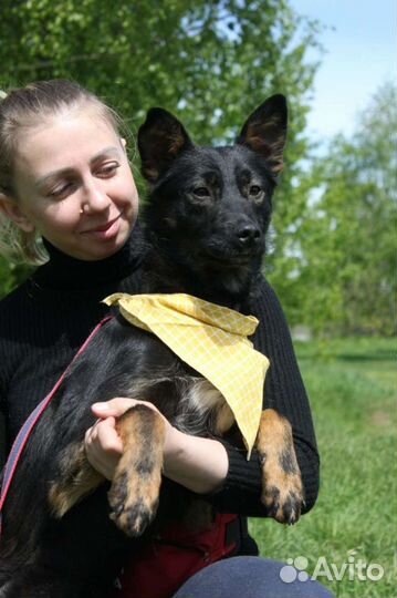 Заберите малыша из приюта