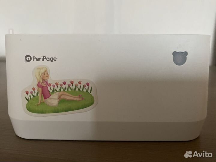 Мини принтер PeriPage