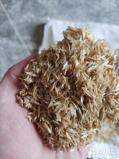 Мульча. Овсяная шелуха