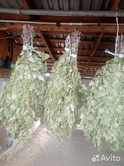 Березовые веники