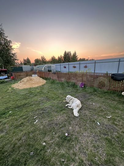 Дача 32 м² на участке 8 сот.