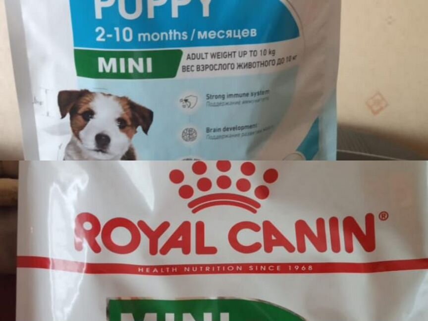 Корм Роял Канин Мини Паппи Мини Эдалт royal canin