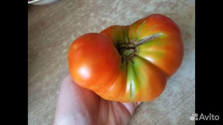Семена коллекционных сортов томатов