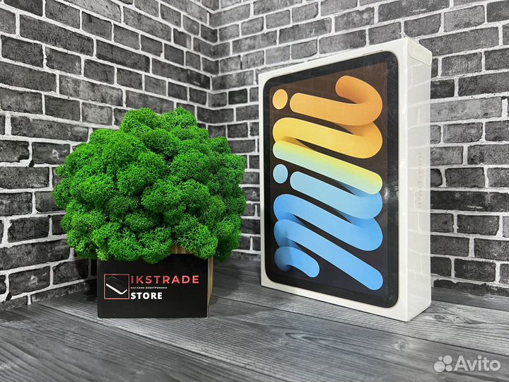 iPad Mini 6 2021 64gb wi fi Starlight