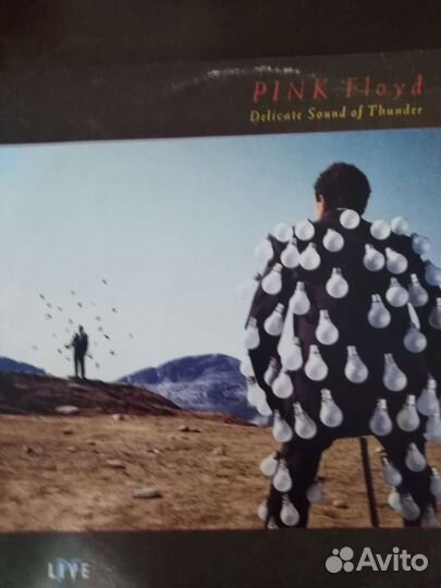 Pink Floyd. 2LP