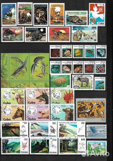 Марки Фауна. Часть 3