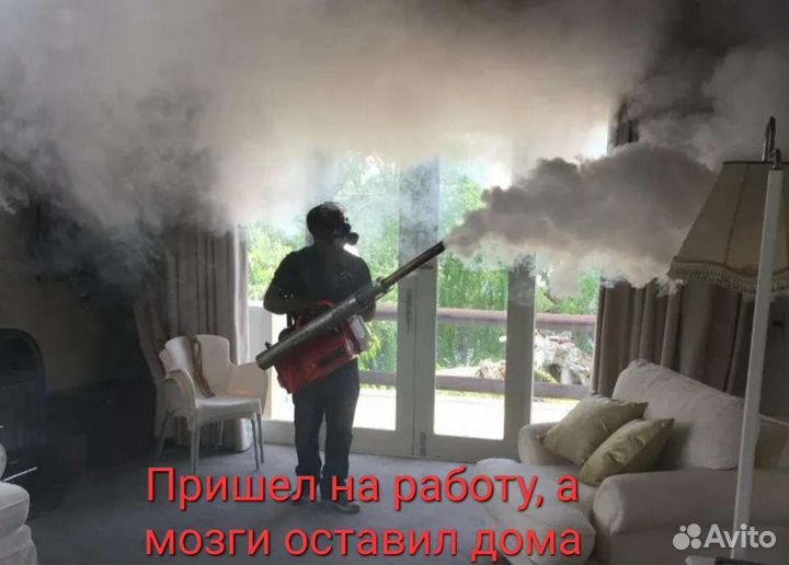 Уничтожения клопов, тараканов