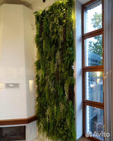 Вертикальное озеленение