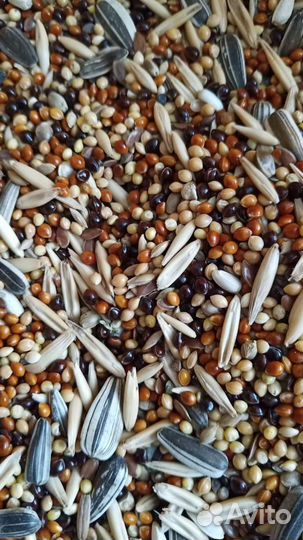 Корм для попугаев, канареек, и экзотических птиц