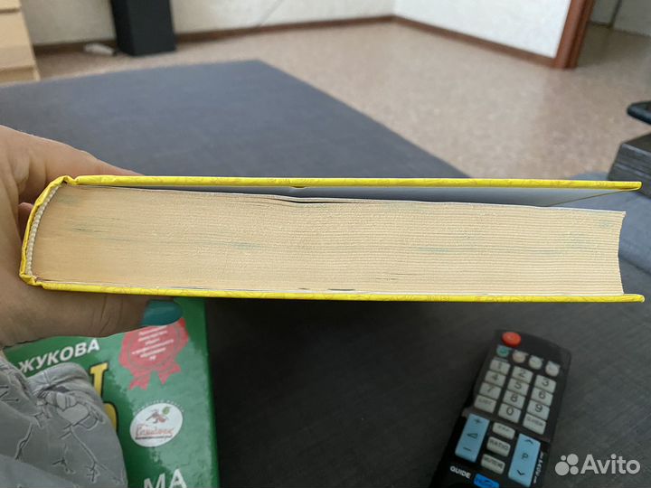 Книга поведения для воспитанных детей)