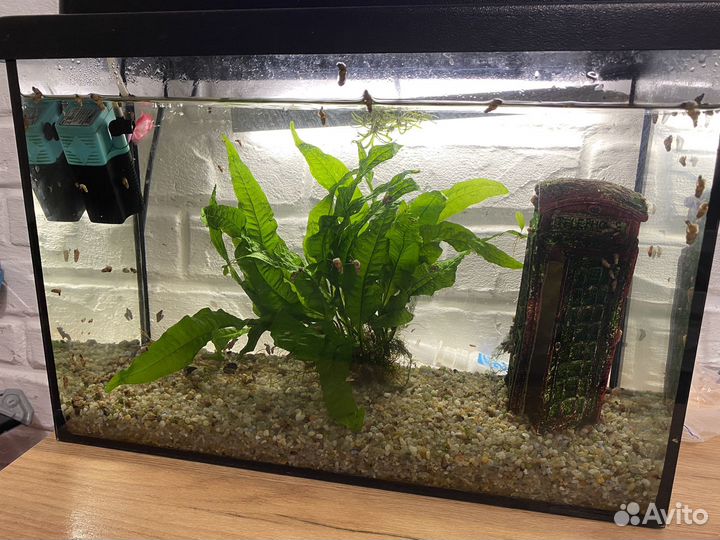 Аквариум 25л