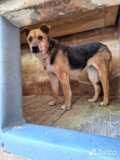 Бруня нуждается в любящем человеке