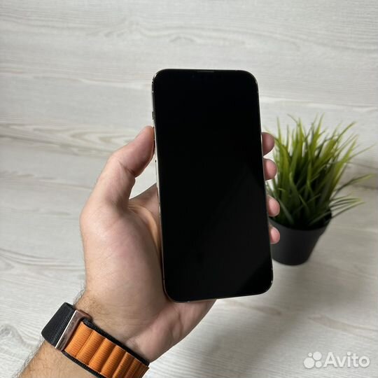 iPhone 13 Pro Max, 256 ГБ