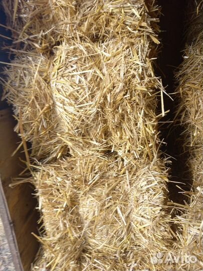 Сено и солома
