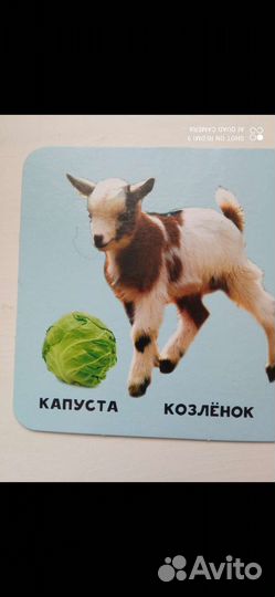 Развивающие игры 