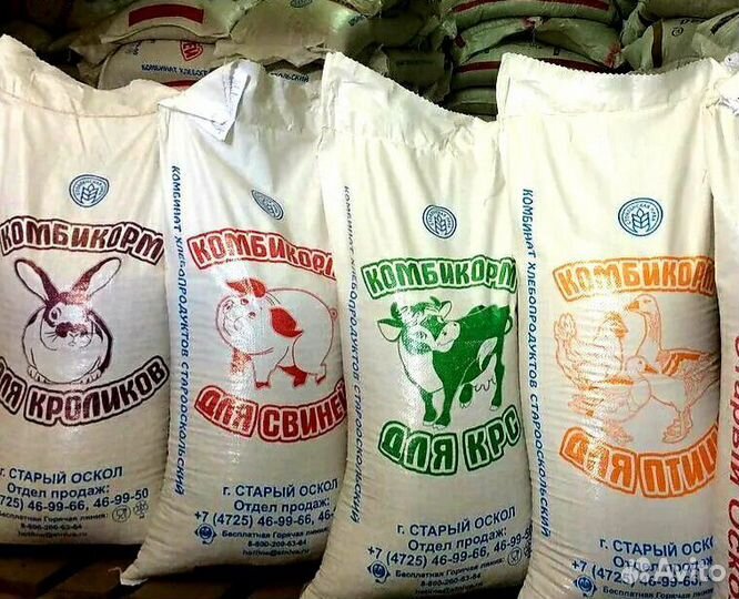 Зерно-корма-премиксы-кормушки-поилки