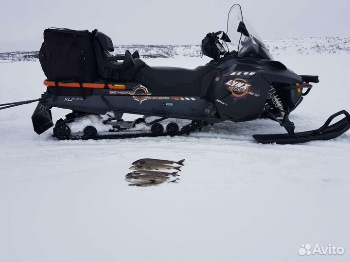 Lynx adventure 900 ace