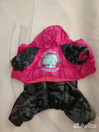 Одежда для средних собак