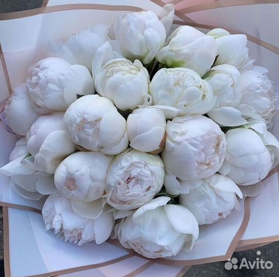 Пионы Букеты Цветы Доставка